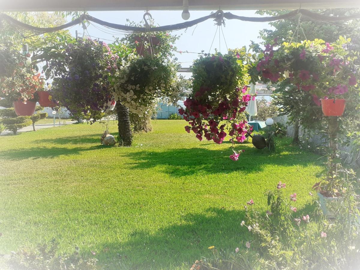 פרבזה Top Floor On Villa, 3' From Center, By The Sea! Host Is Efi Kwsta מראה חיצוני תמונה