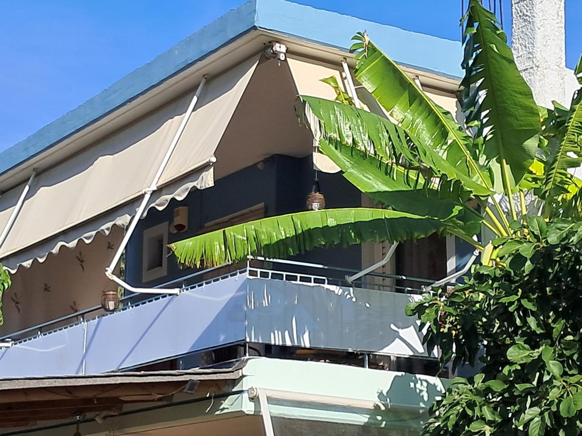 פרבזה Top Floor On Villa, 3' From Center, By The Sea! Host Is Efi Kwsta מראה חיצוני תמונה